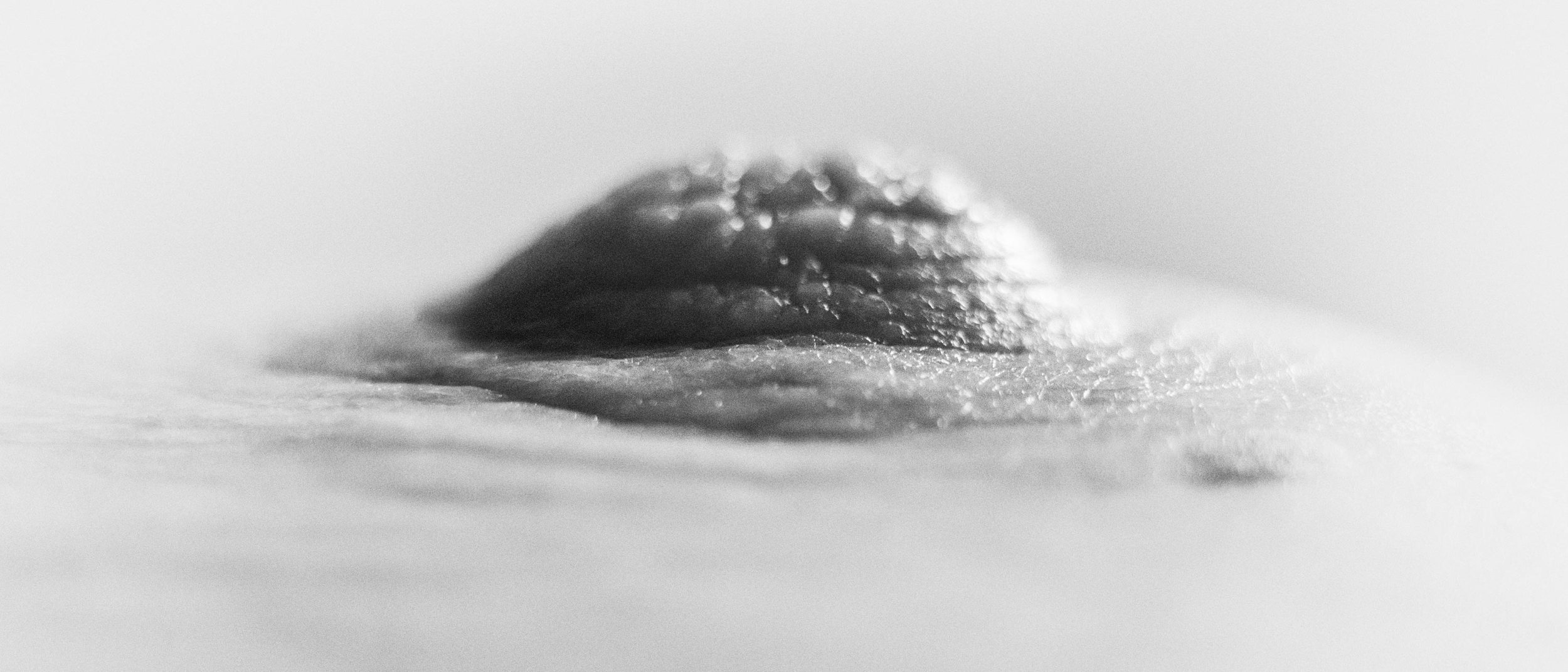 Body Abstract III.jpg