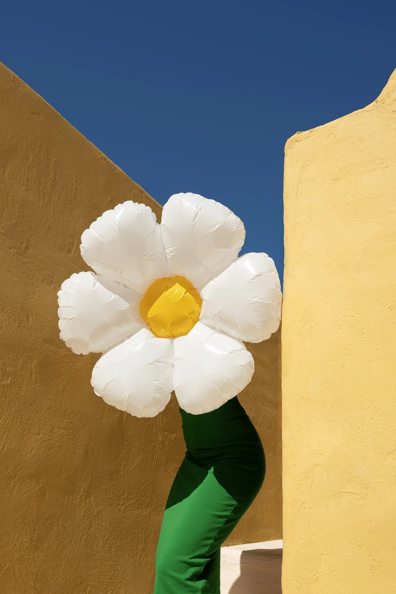 bloom kopie.jpg