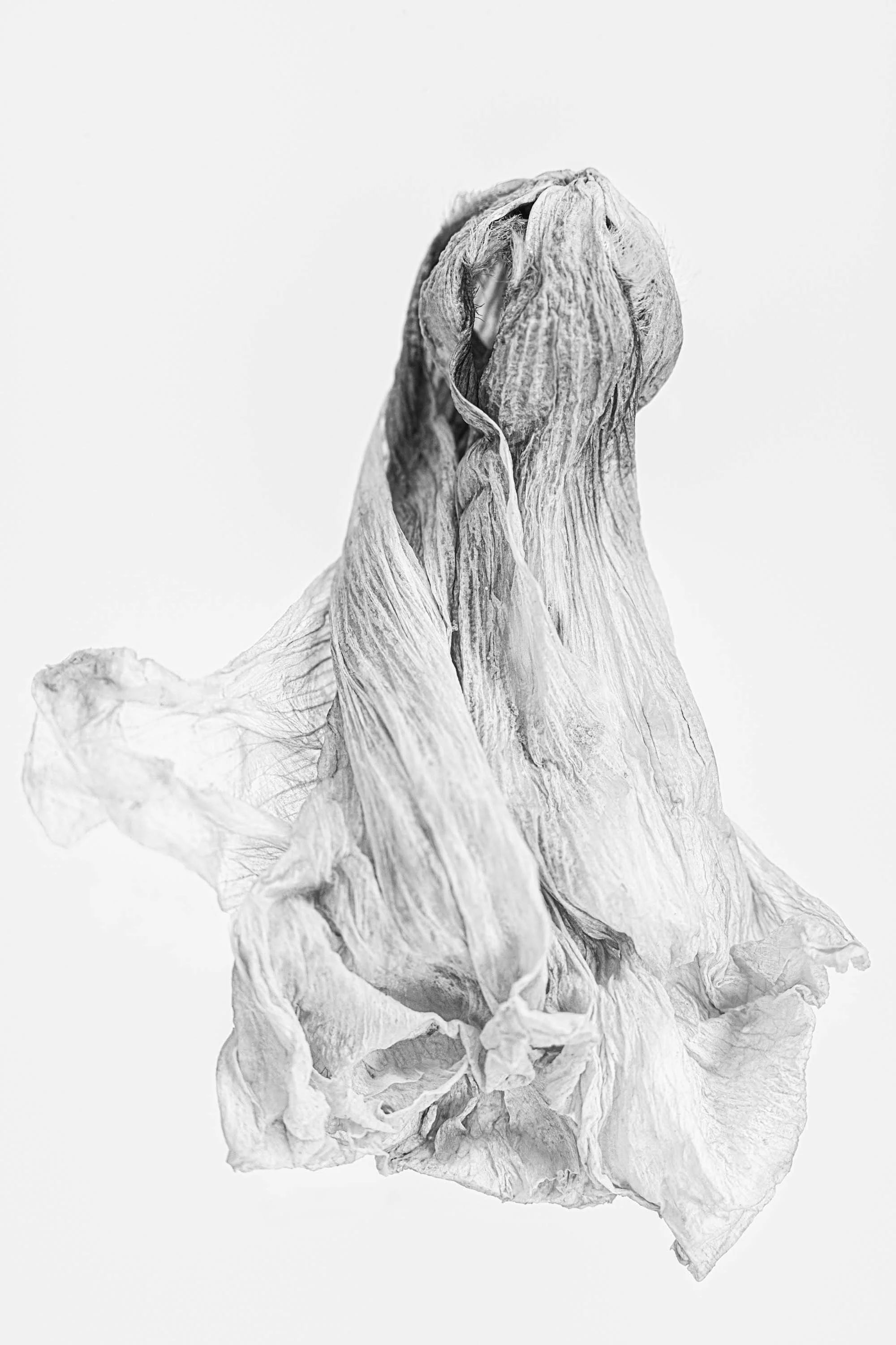 Rianne Noordegraaf_Free Inbetween IV.jpg