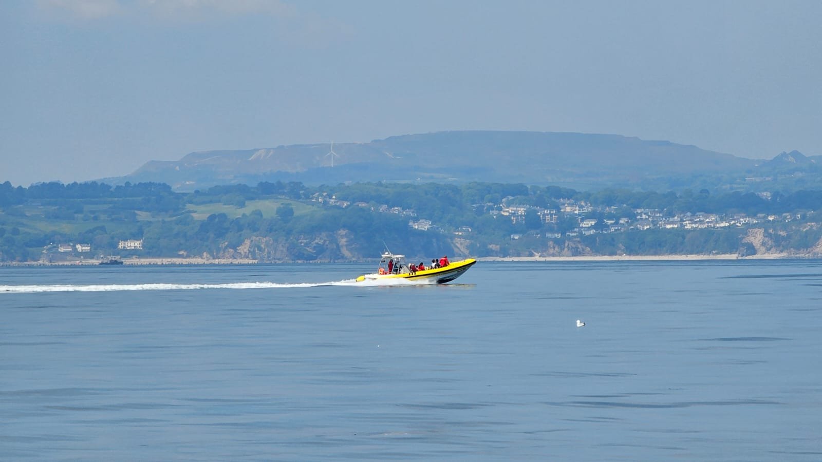 rib-distant-bay.jpeg
