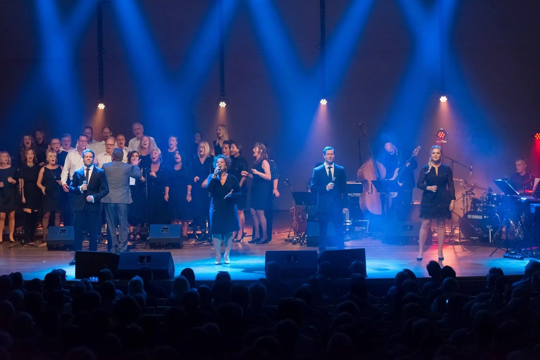 Från Broadway till Duvemåla Sveriges största musikalturné.jpg