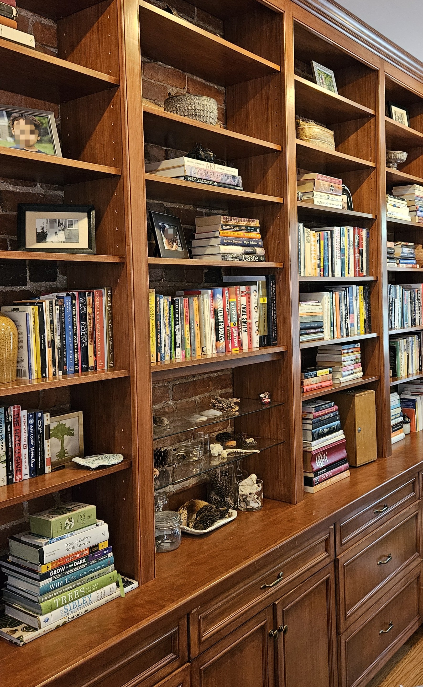 Bookshelves styled with books and decor. Howard County, MD organizer.