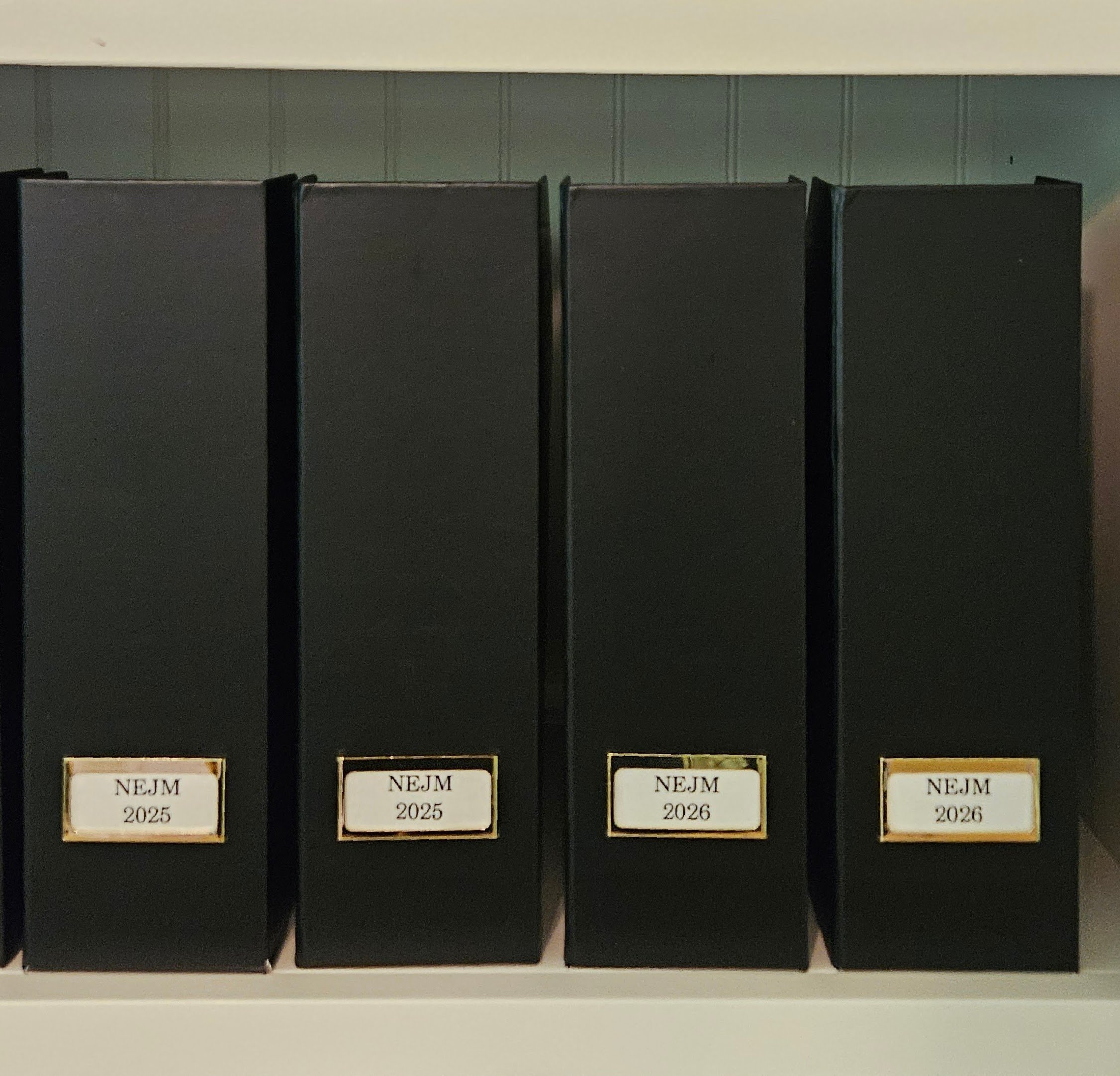 Bookcase Organization by a professional organizer, Ellicott City, MD.