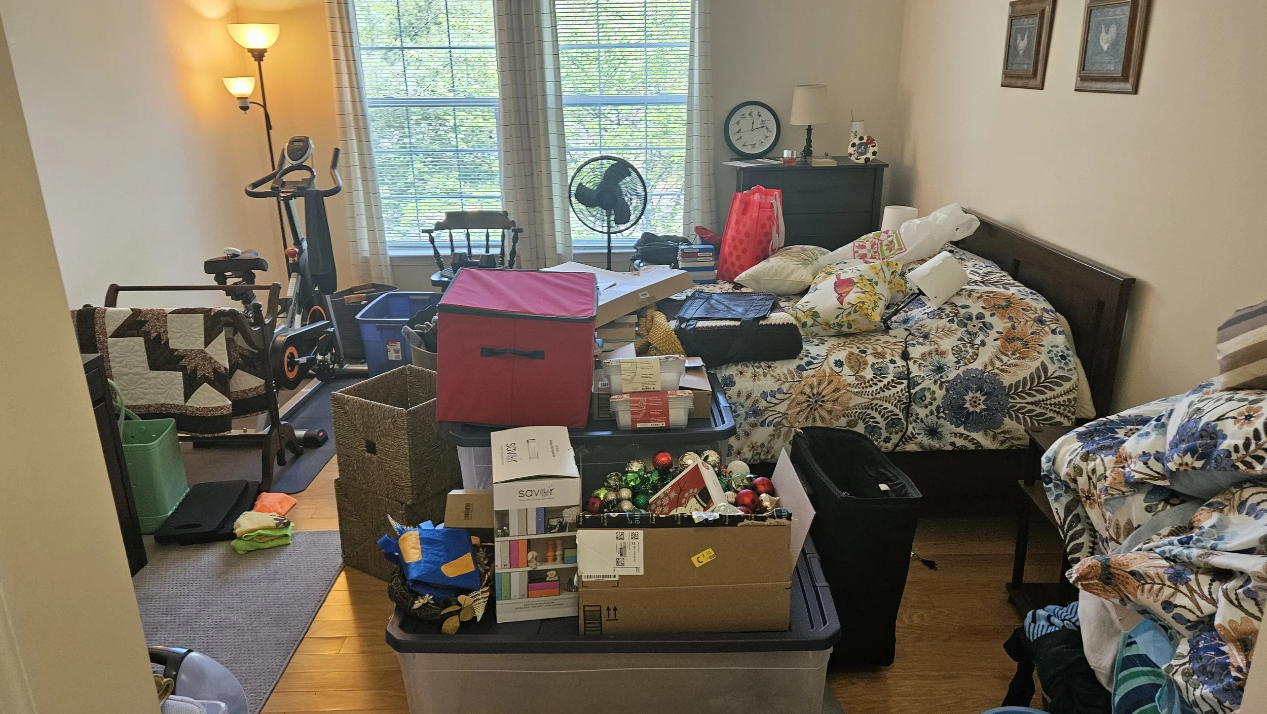 Glenelg, MD Professional Organizer
