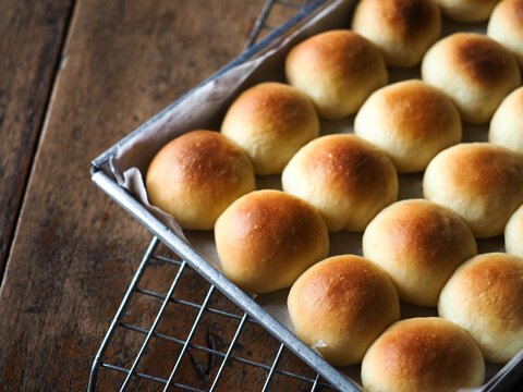 Dinner Rolls