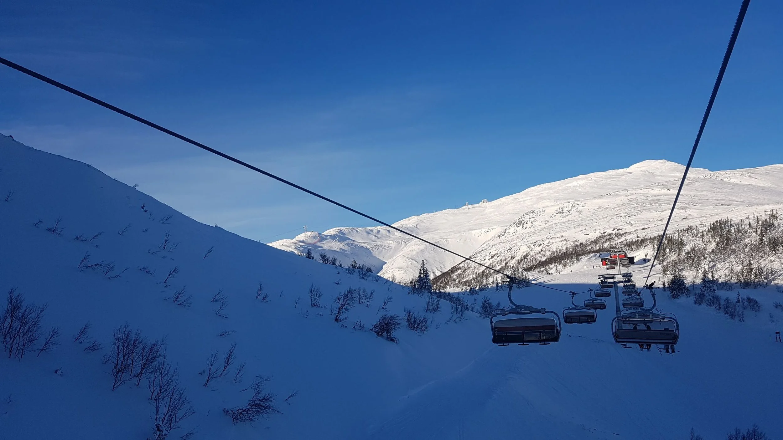20190207_132747.jpg