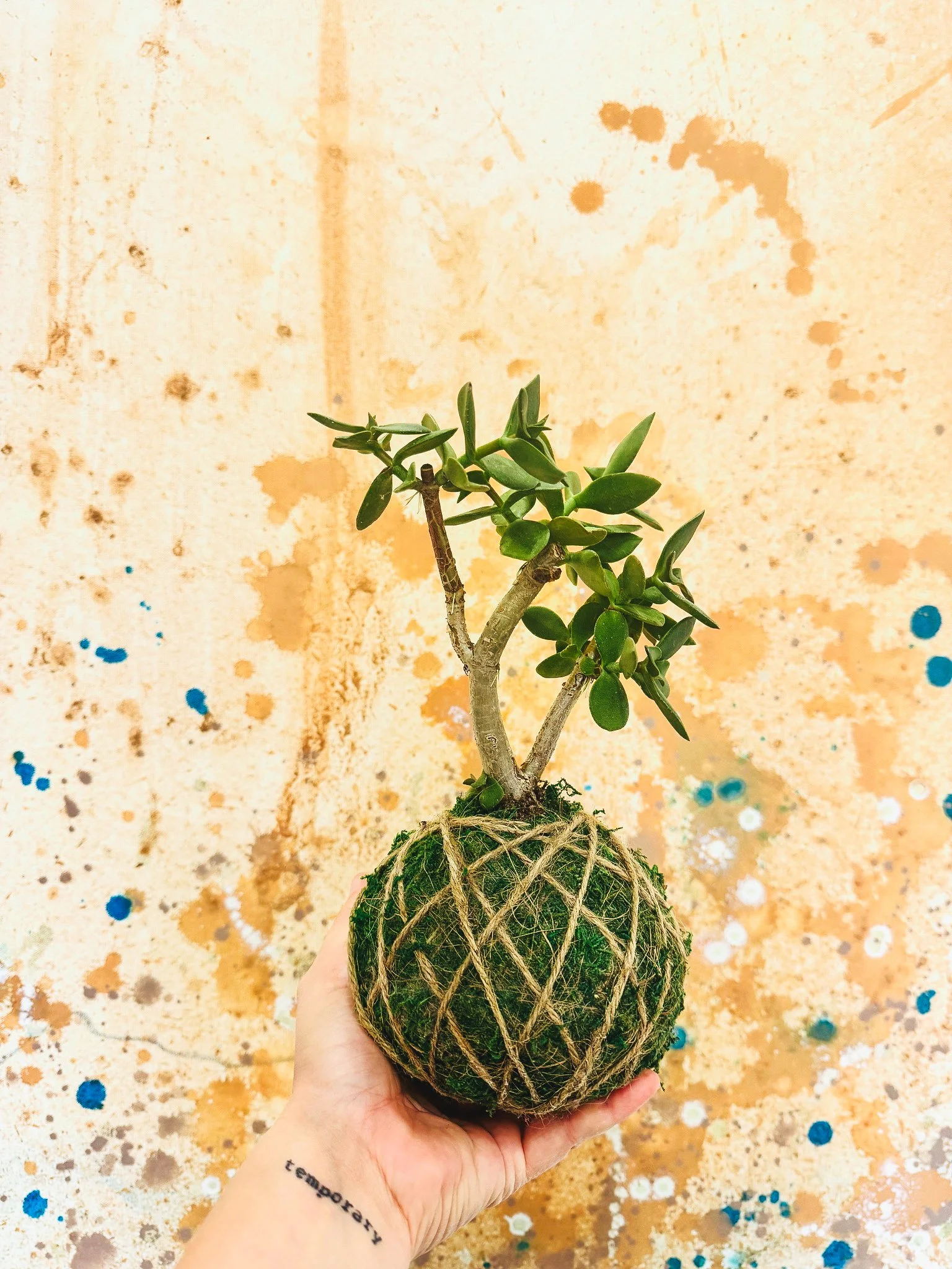 Kokedama Workshop, hosted by Ata
