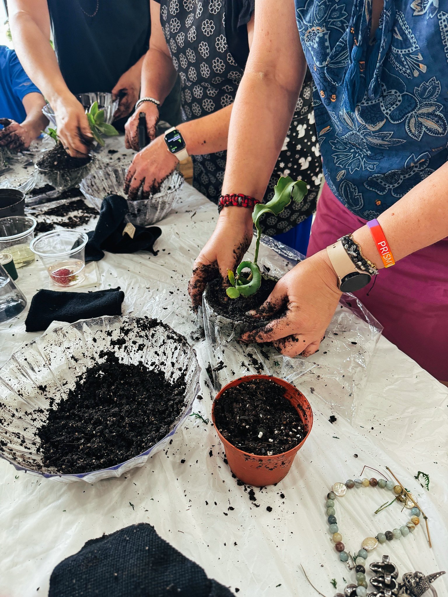 Kokedama Workshop, hosted by Ata