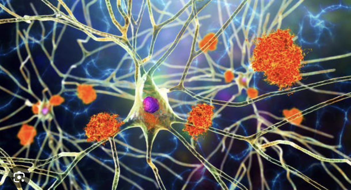 Screenshot 2024-01-15 at 07.47.06.png