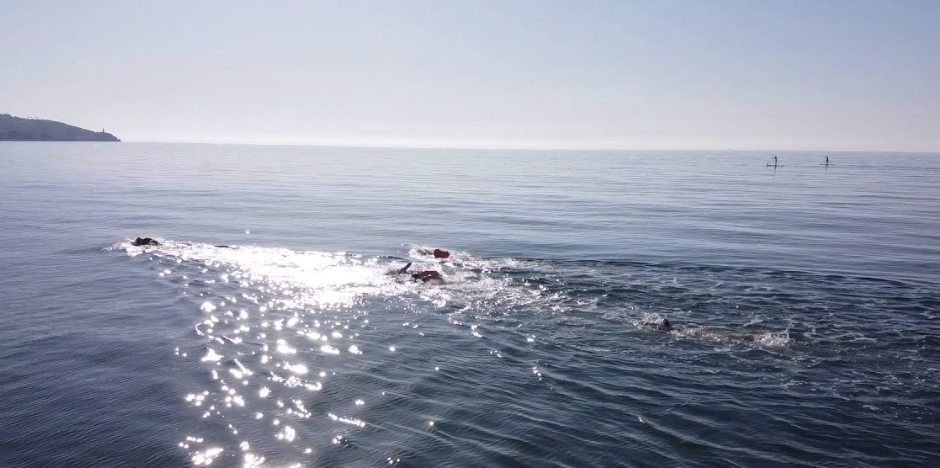 One hour integrative psychotherapy