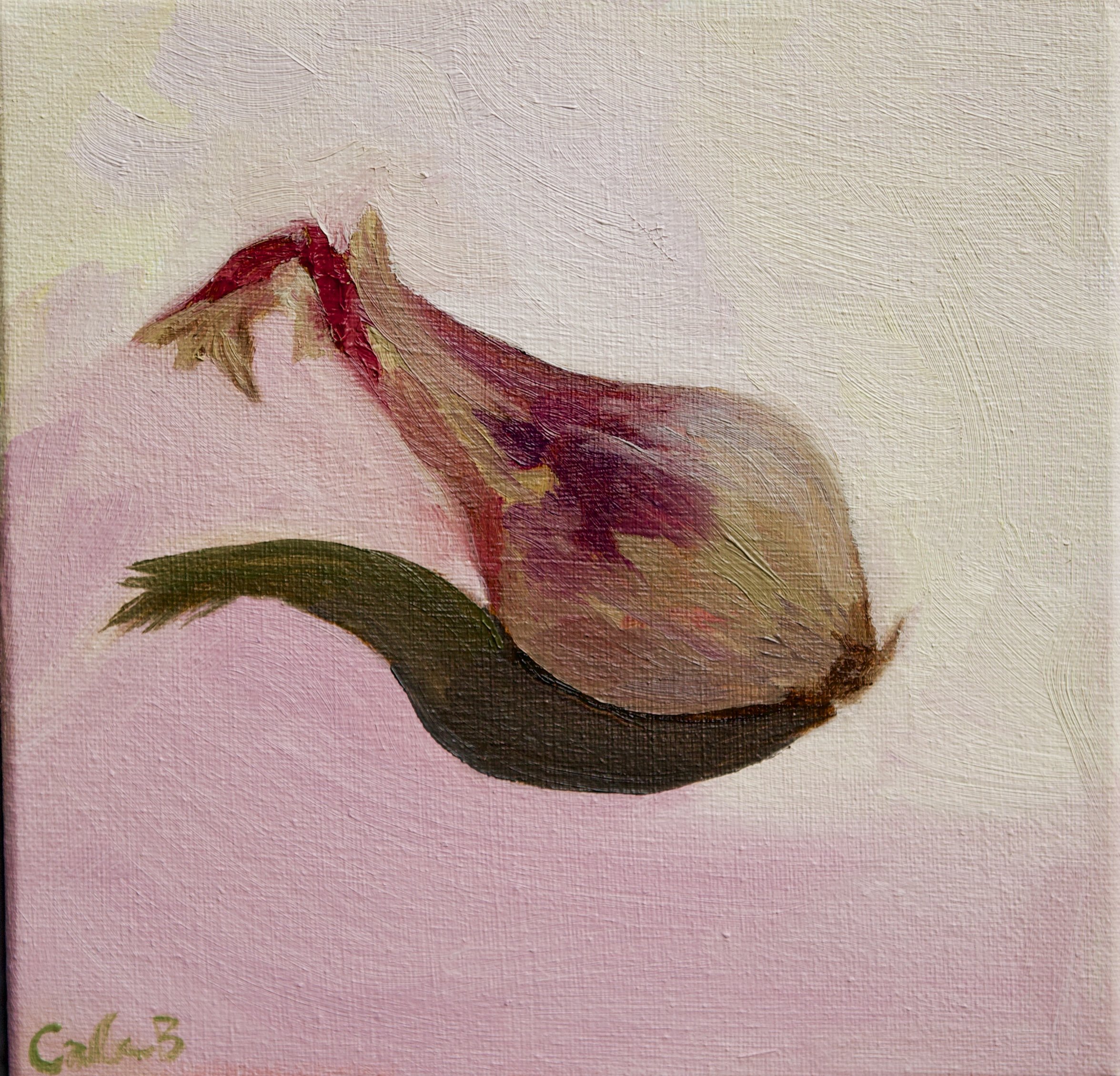 Sunday Shallot