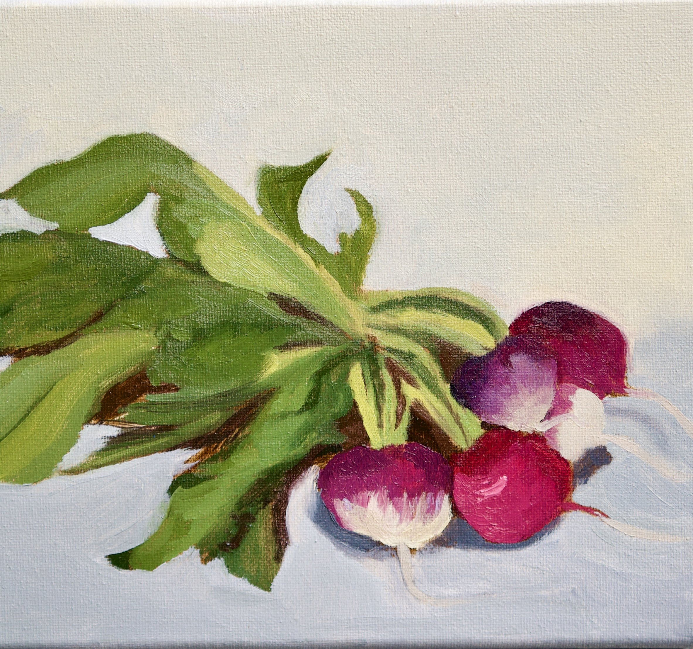 Farmers Market Radishes