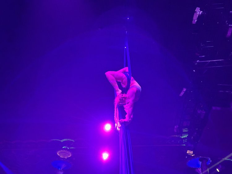 Talia Hazard suspended in an aerial pose beneath purple lights