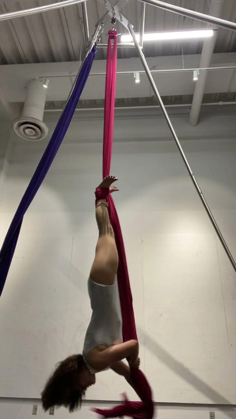 A woman practicing aerial silk acrobatics in a gym, hanging upside down with pink and purple silks.