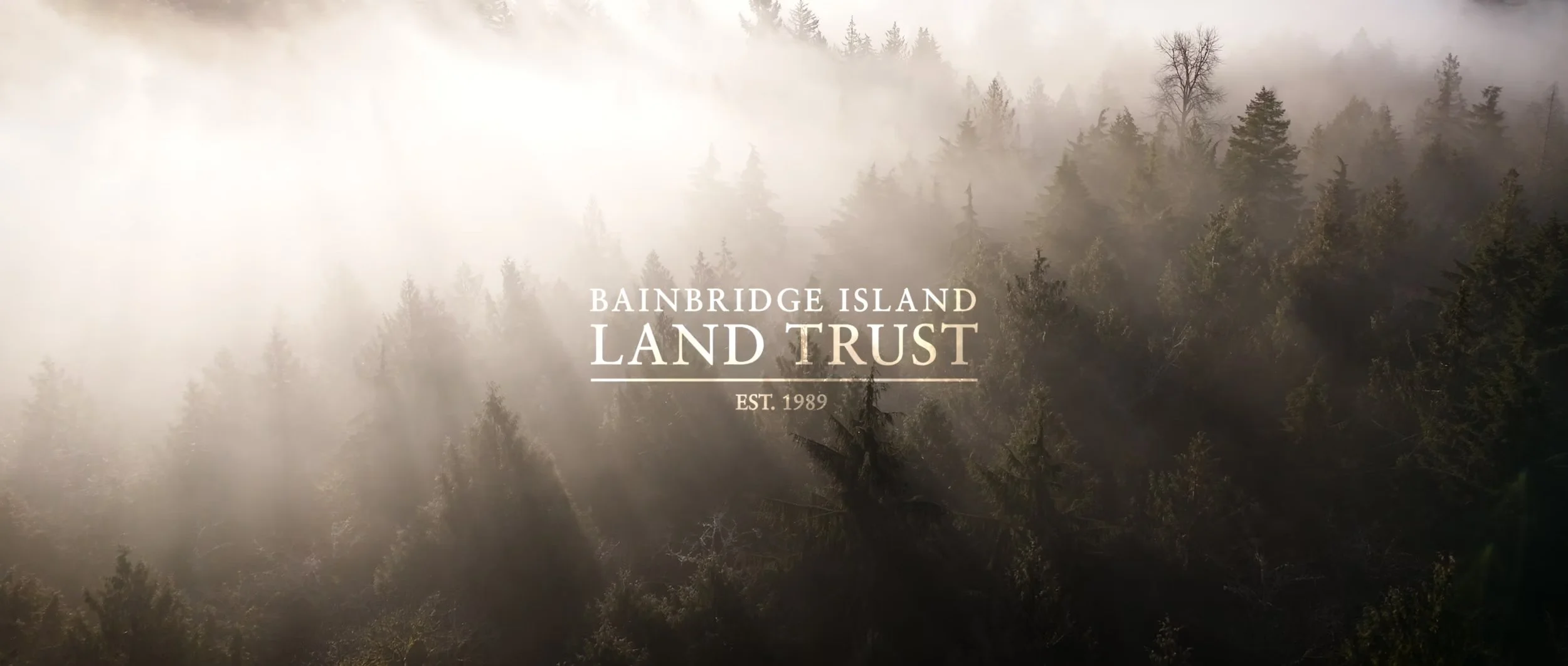 The Grand Forest East - A Conservation Celebration