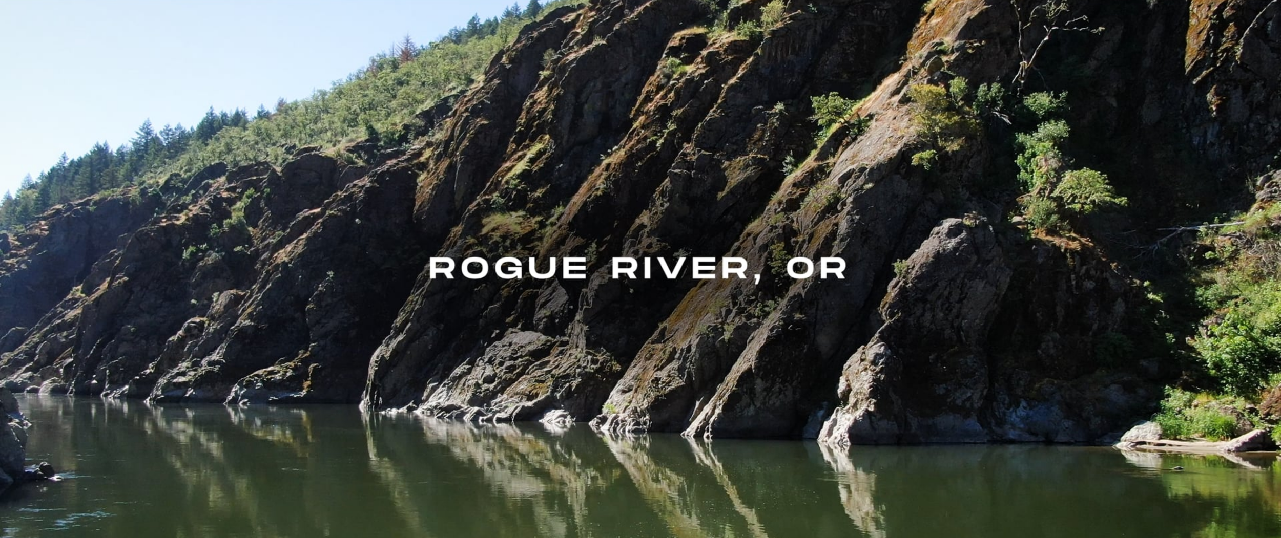 rogue.png