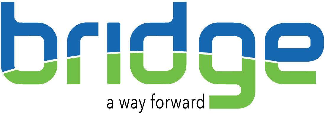 Bridge Project Logo.png