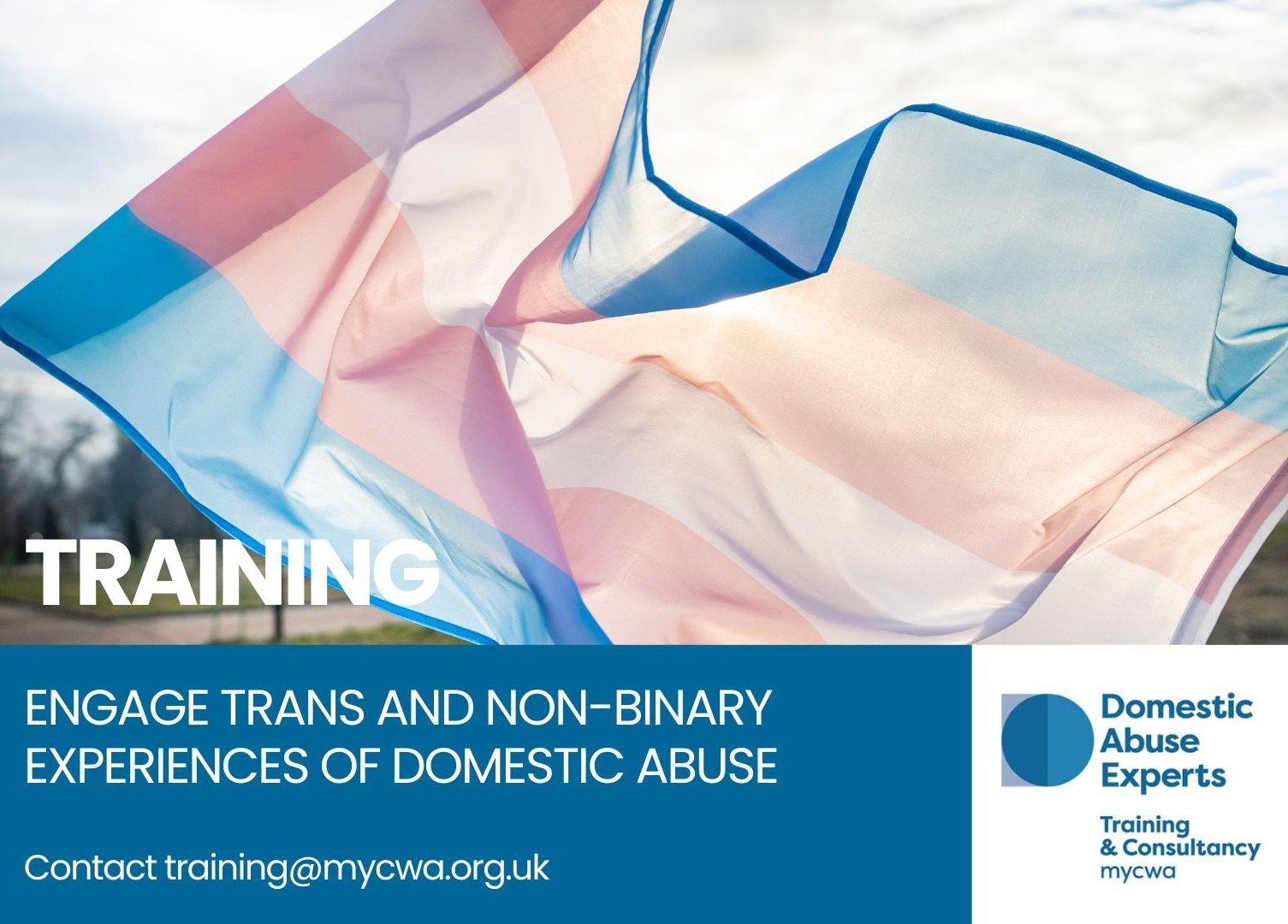Training Poster for Trans & Non-Binary Experience of Domestic Abuse