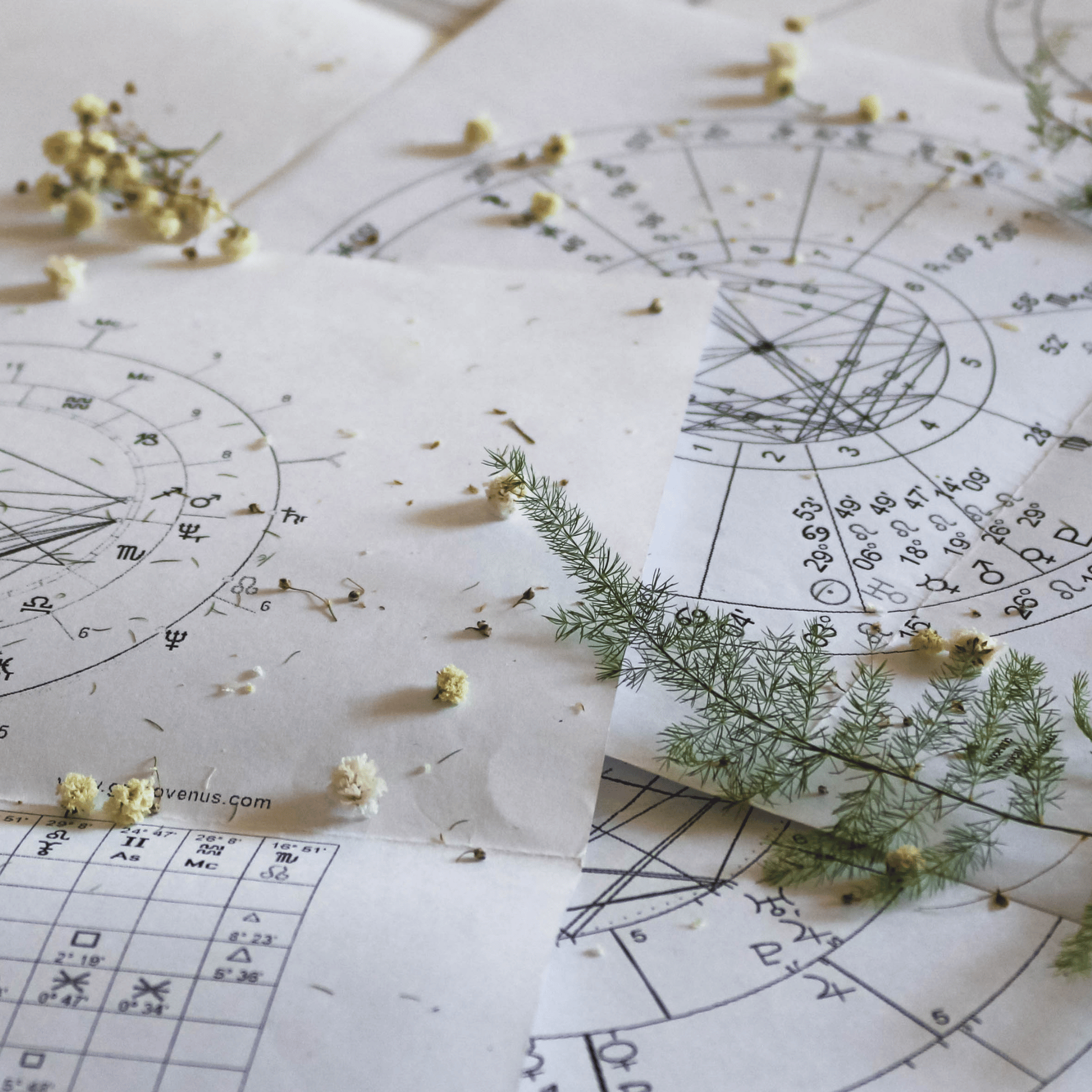 astrologie voie celeste (3).png