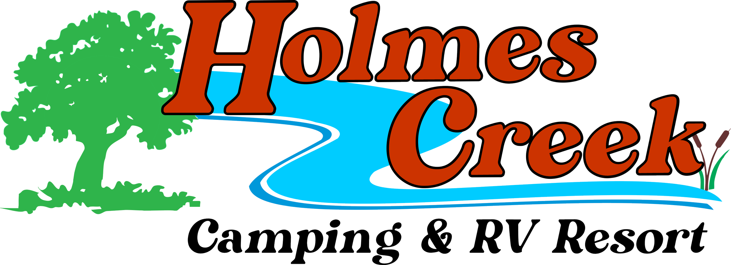 Holmes Creek Camping photo 4