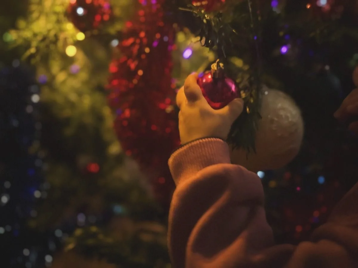 Al Qbaby si respira gi&agrave; la magia del Natale 🎄❤️#natale #qbaby #lucine #alberodinatale