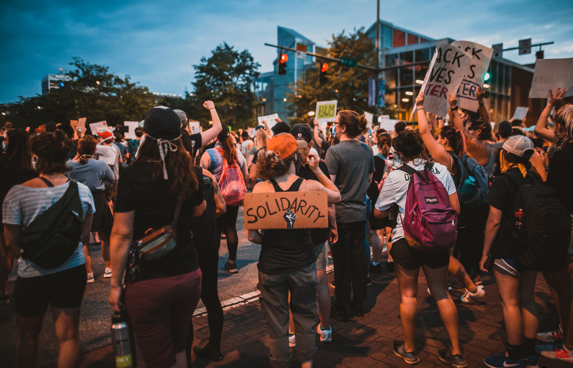 Old Dog Documentaries - Woodstock, VT + New York, NY