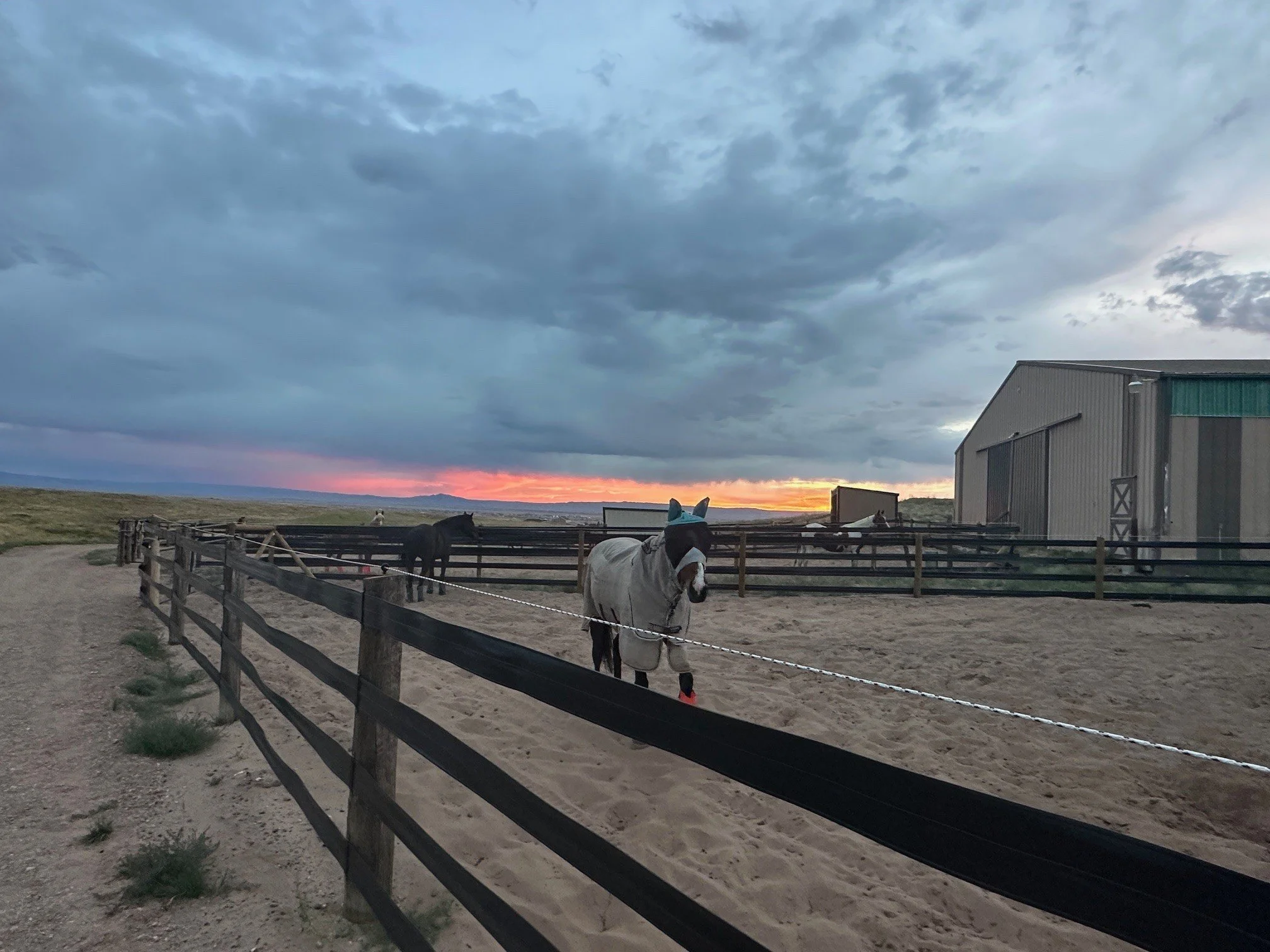 paddock sunset.jpg