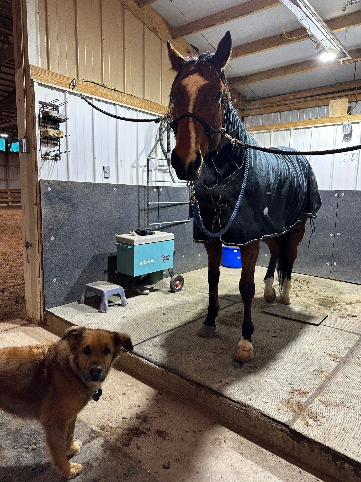 gibson wash rack.jpg