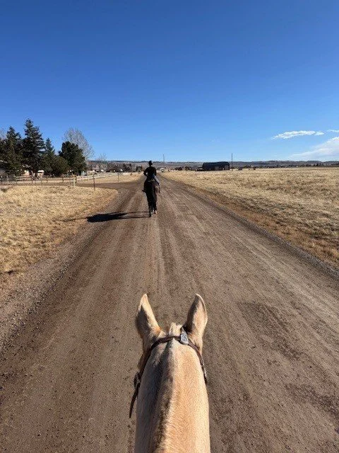 trail ride 1.jpg