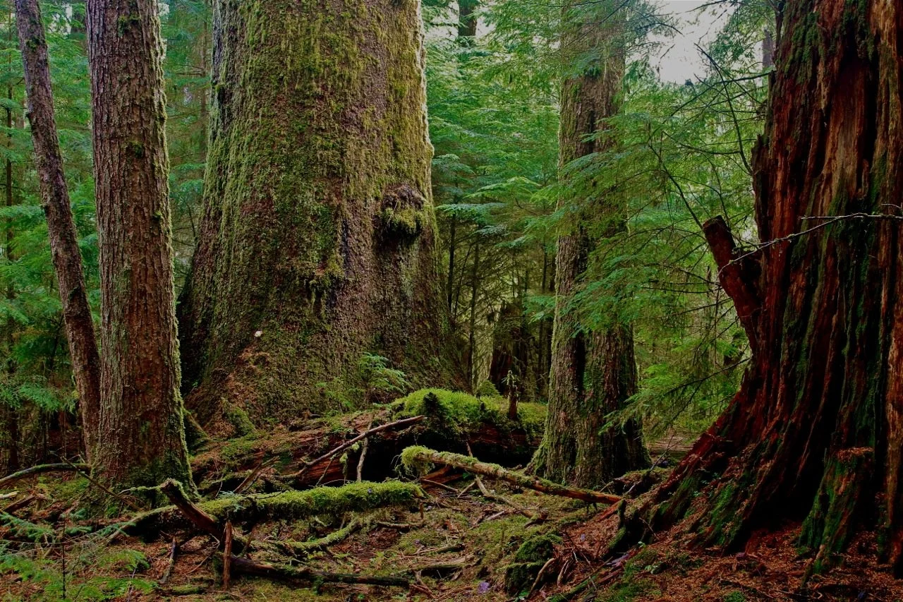 Coastal British Columbia, Canada