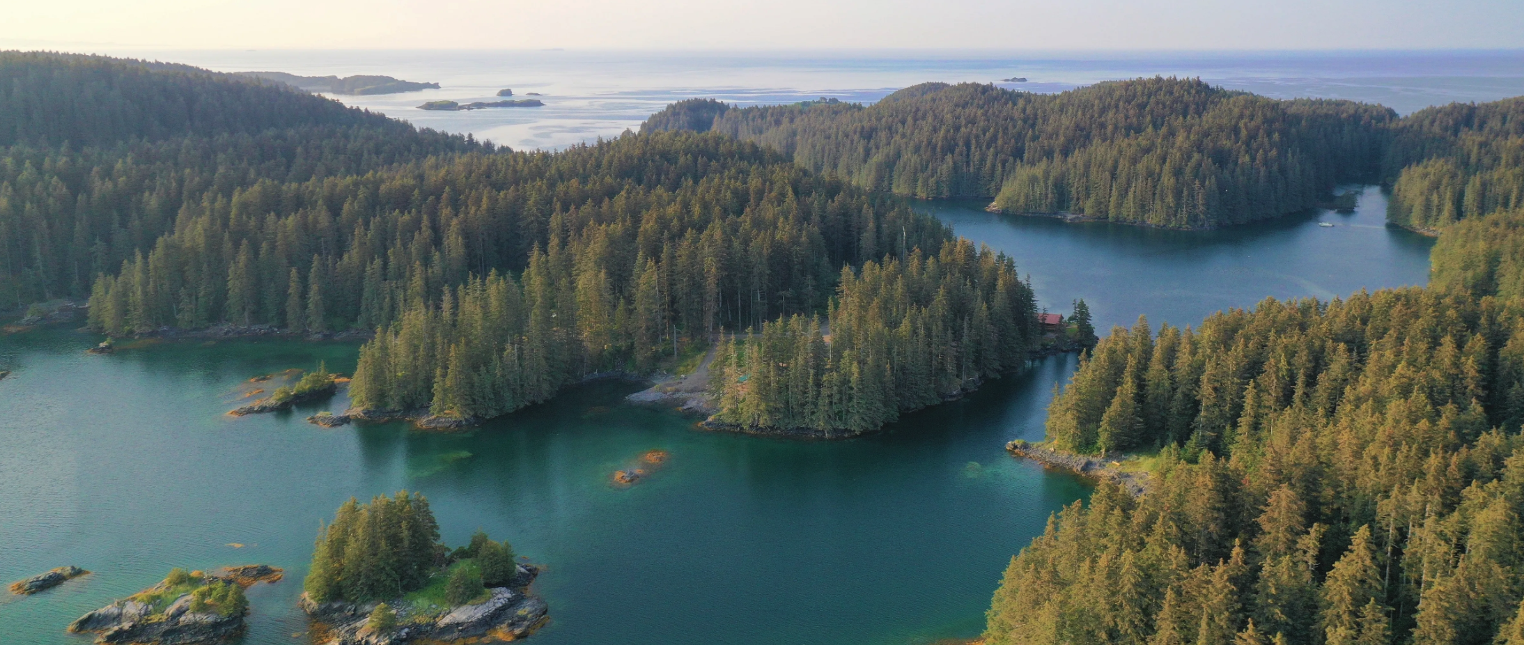 Temperate rainforest Alaska
