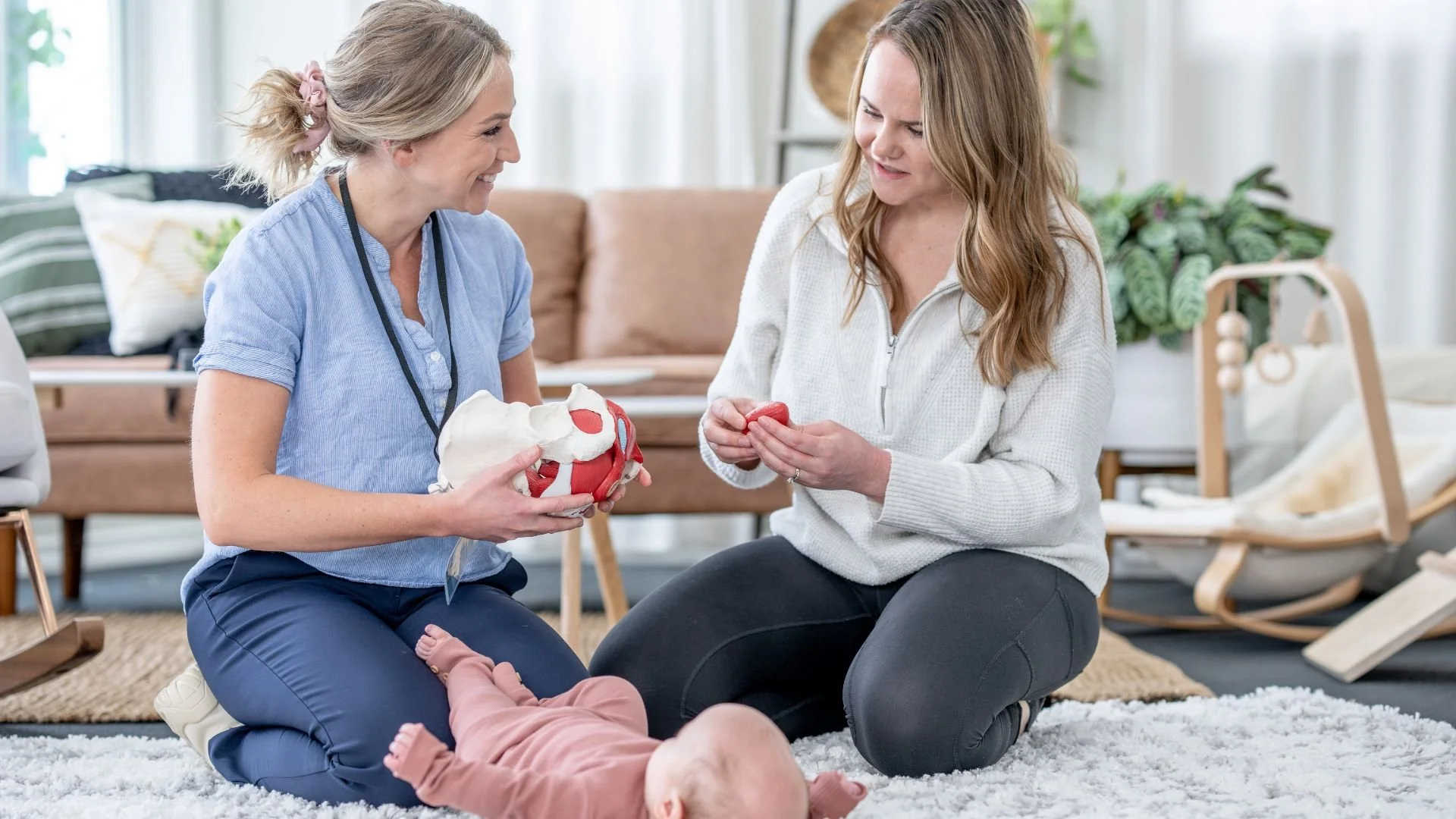 When Support Systems Shift: Understanding Pelvic Organ Prolapse