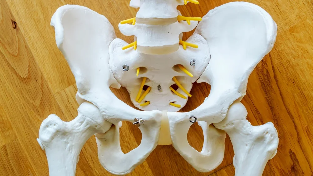 Strong Foundations: The Critical Connection Between Bone Health and ...