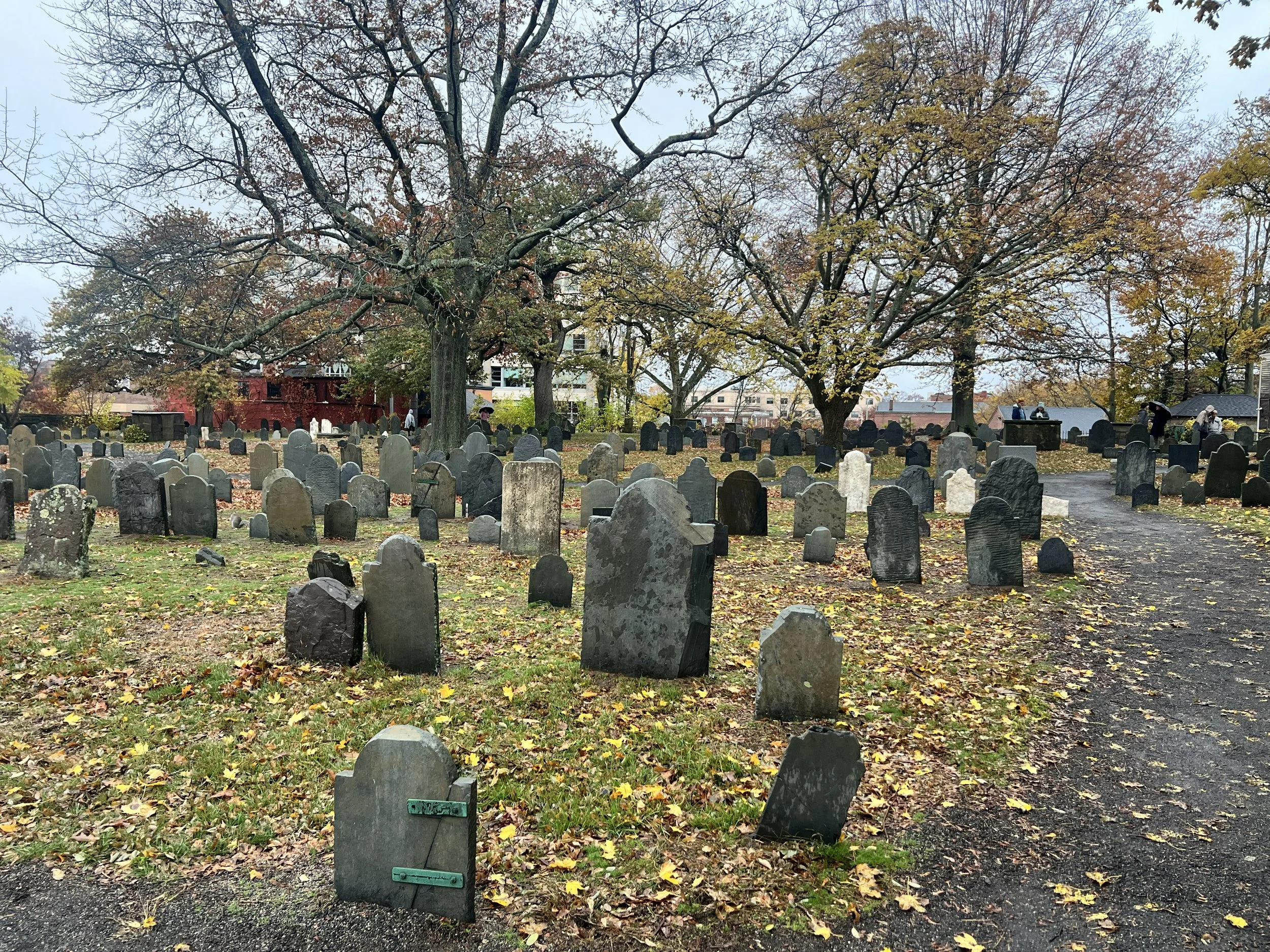 IMG_7025.jpg