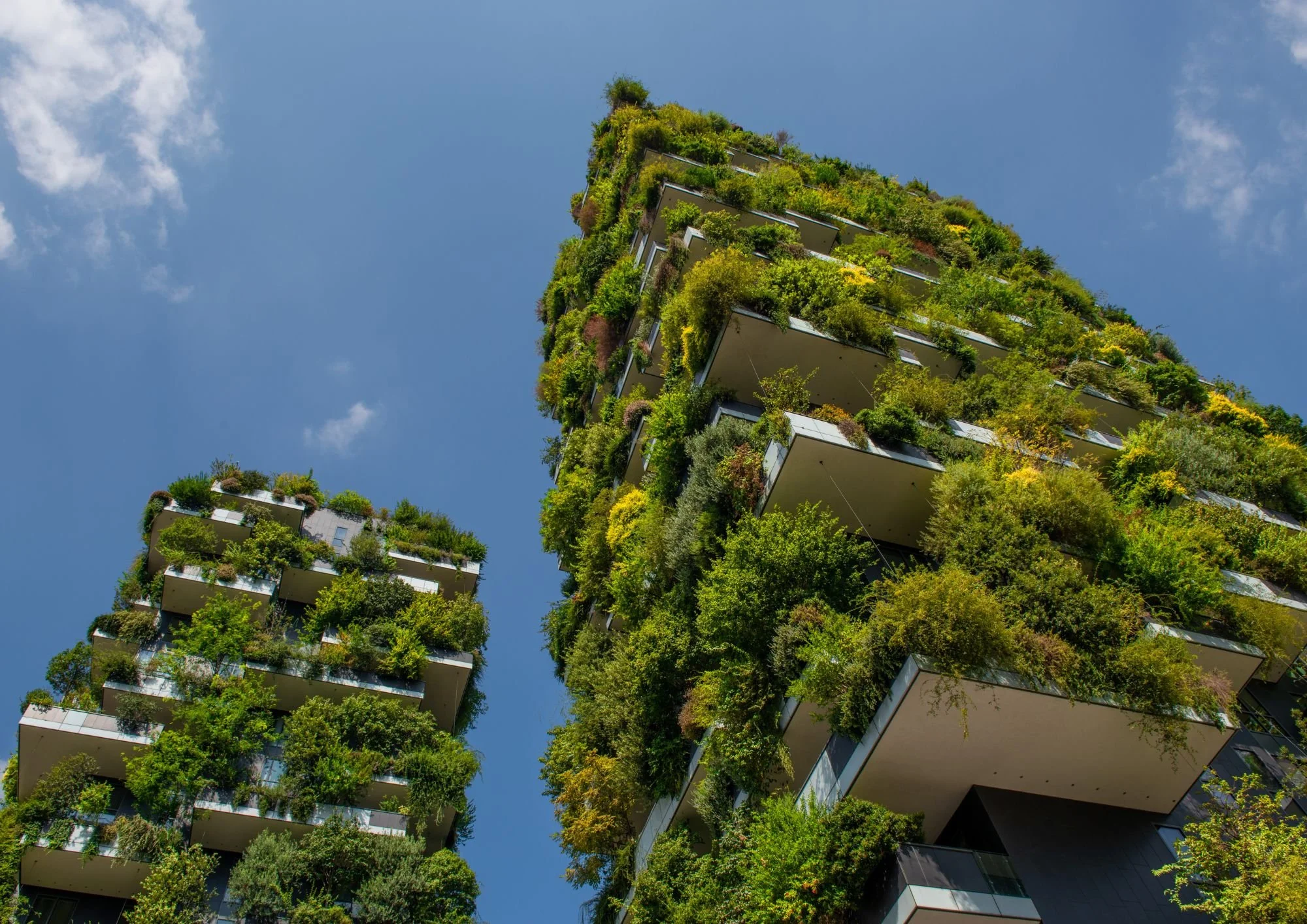 Arquitectura ecológica: habitar el territorio desde la coherencia y la regeneración