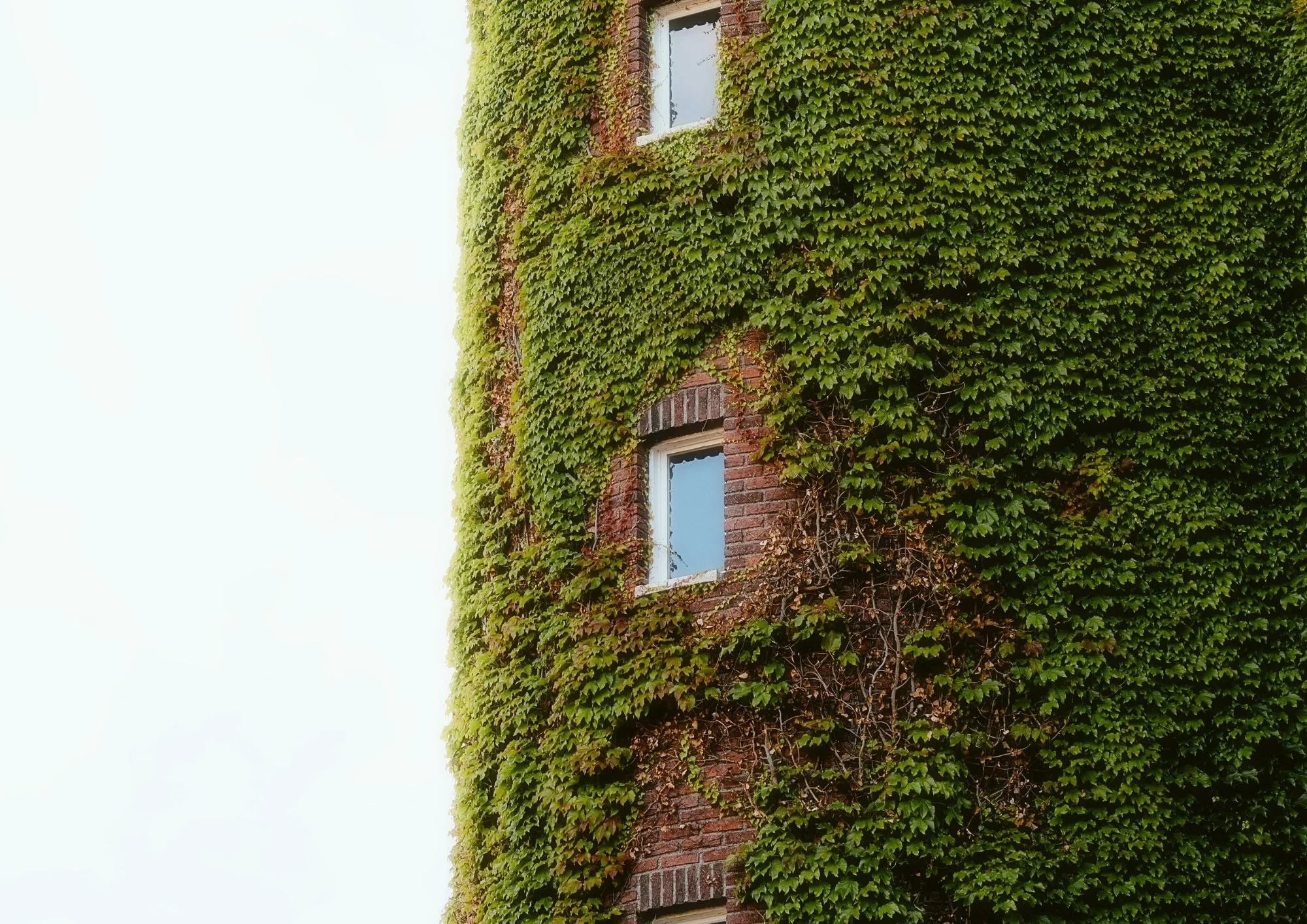Proyectos de arquitectura ecológica: diseñar espacios que cuidan la vida y el territorio