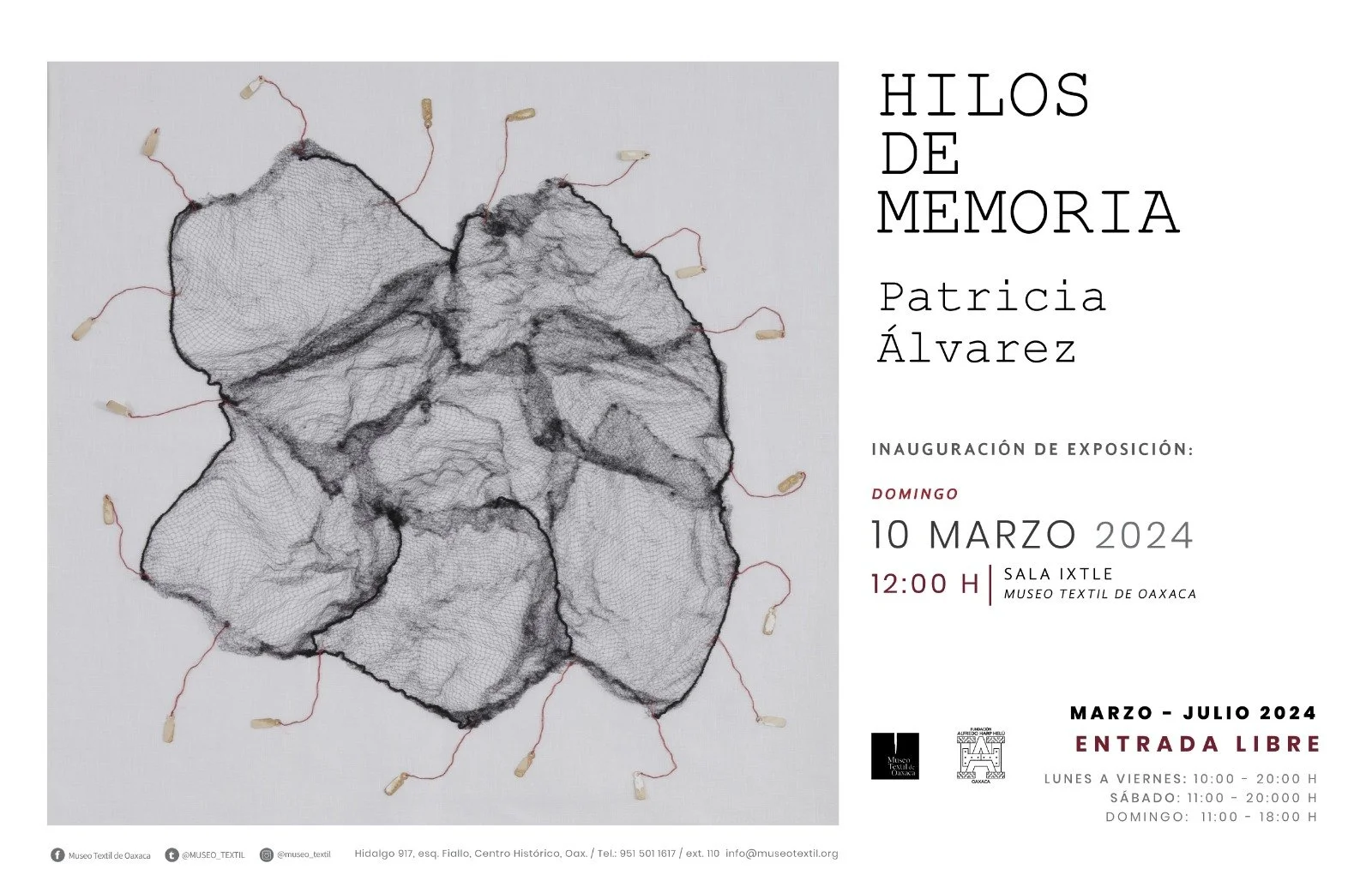 WhatsApp Image 2024-08-19 at 12.36.06_6bbb00d2.jpg