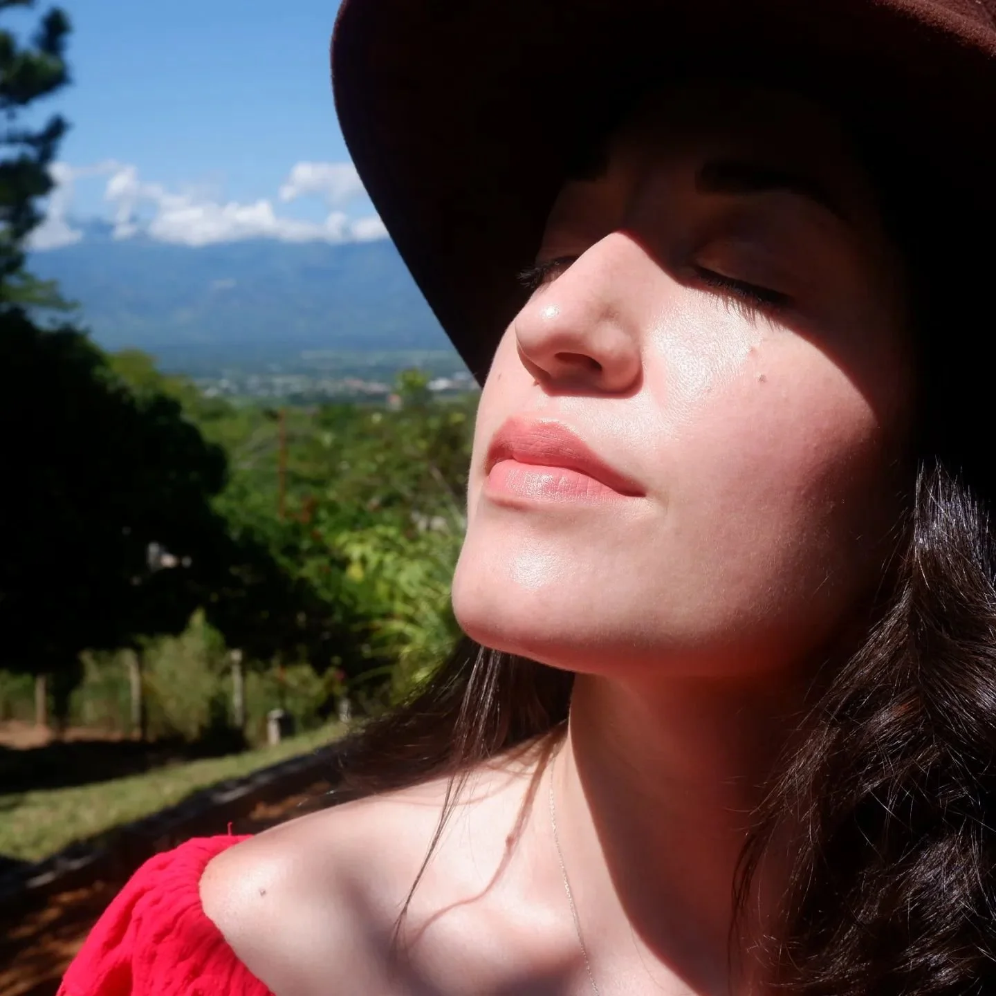 Sun's outs 🌿🌞 Buds out #COGardens