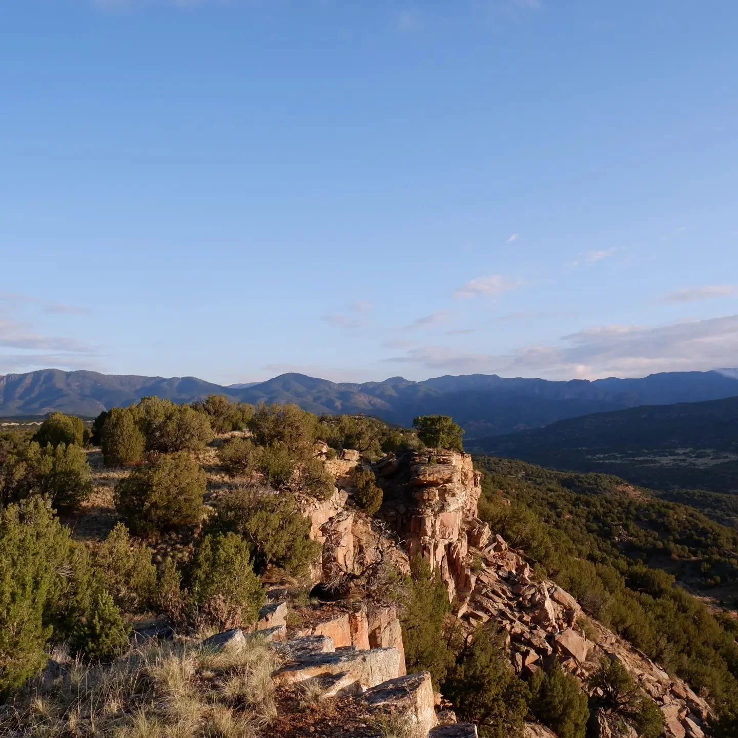 Take me back to this gorgeous #ColoradoMountain

Nothing for sale ‼️ 
#coloradogardens #cogardens #coloradocannabis #cannabis

&bull; 🌿 &bull;