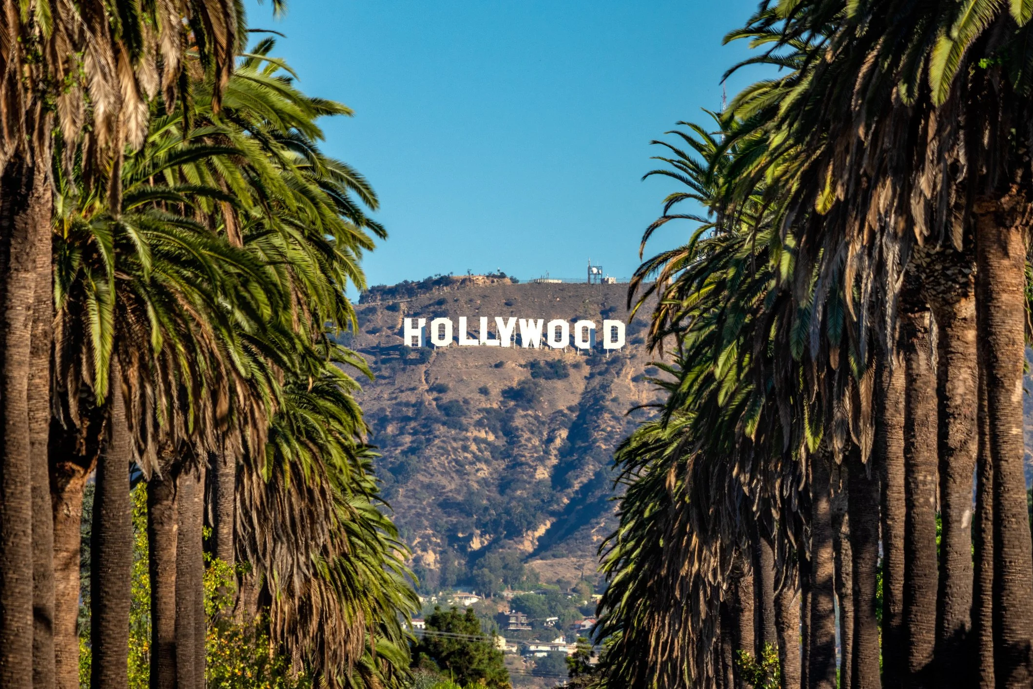 iStock-1126093641.jpg