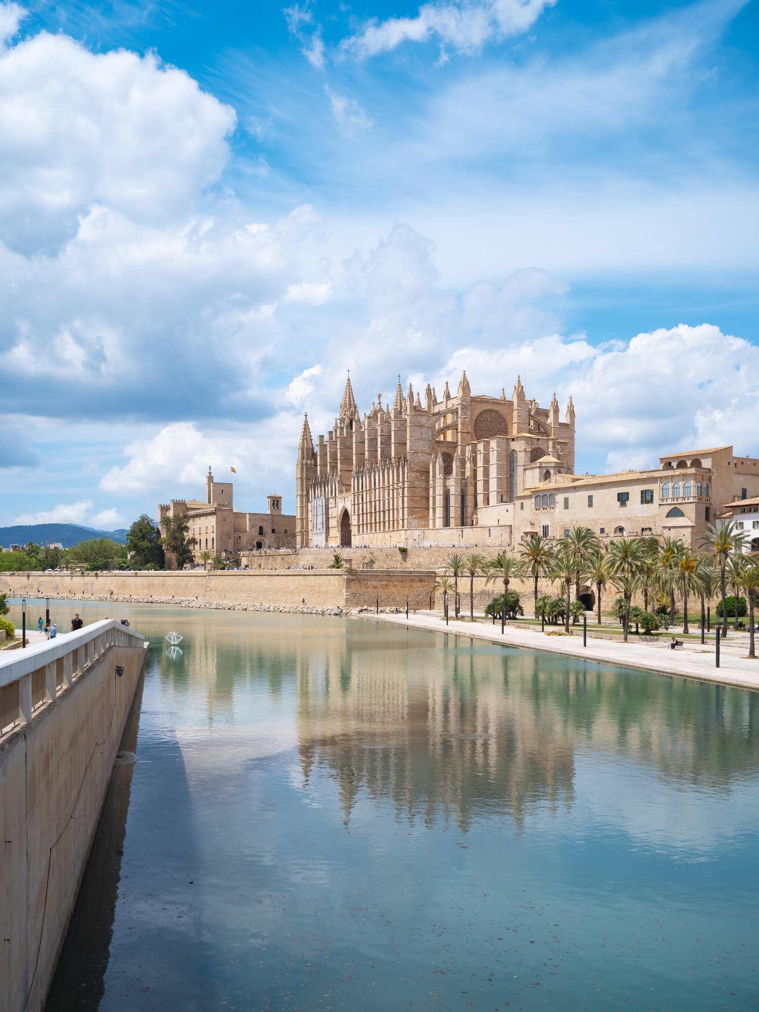 iStock-2224063232.jpg