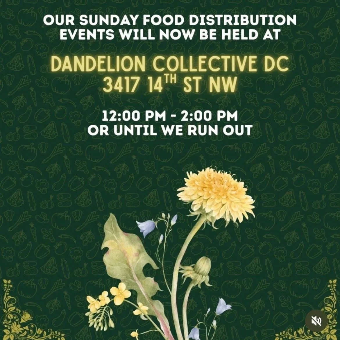 Weekly food distribution by Food Sovereignty for All