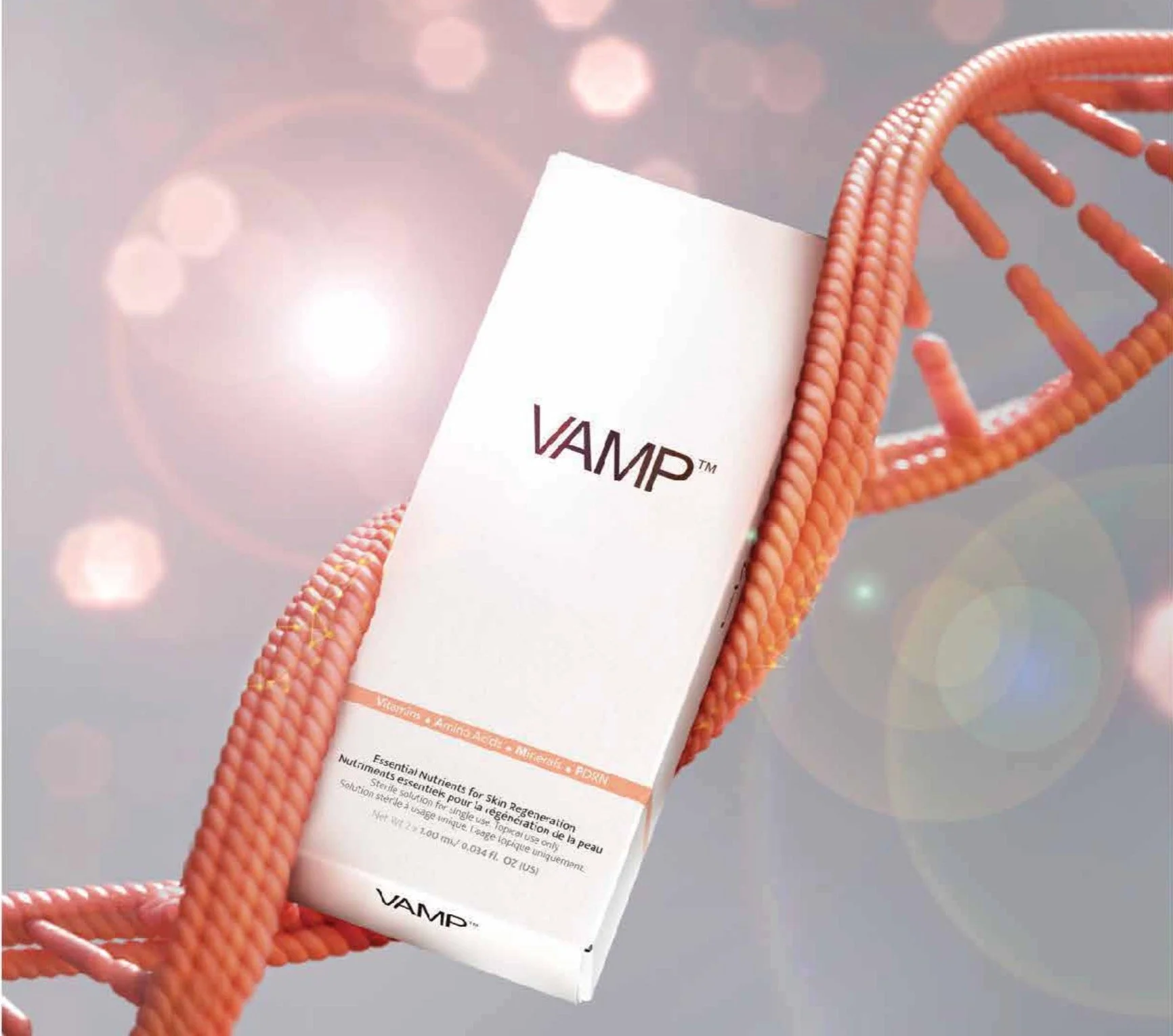 vamp-image-03.jpg