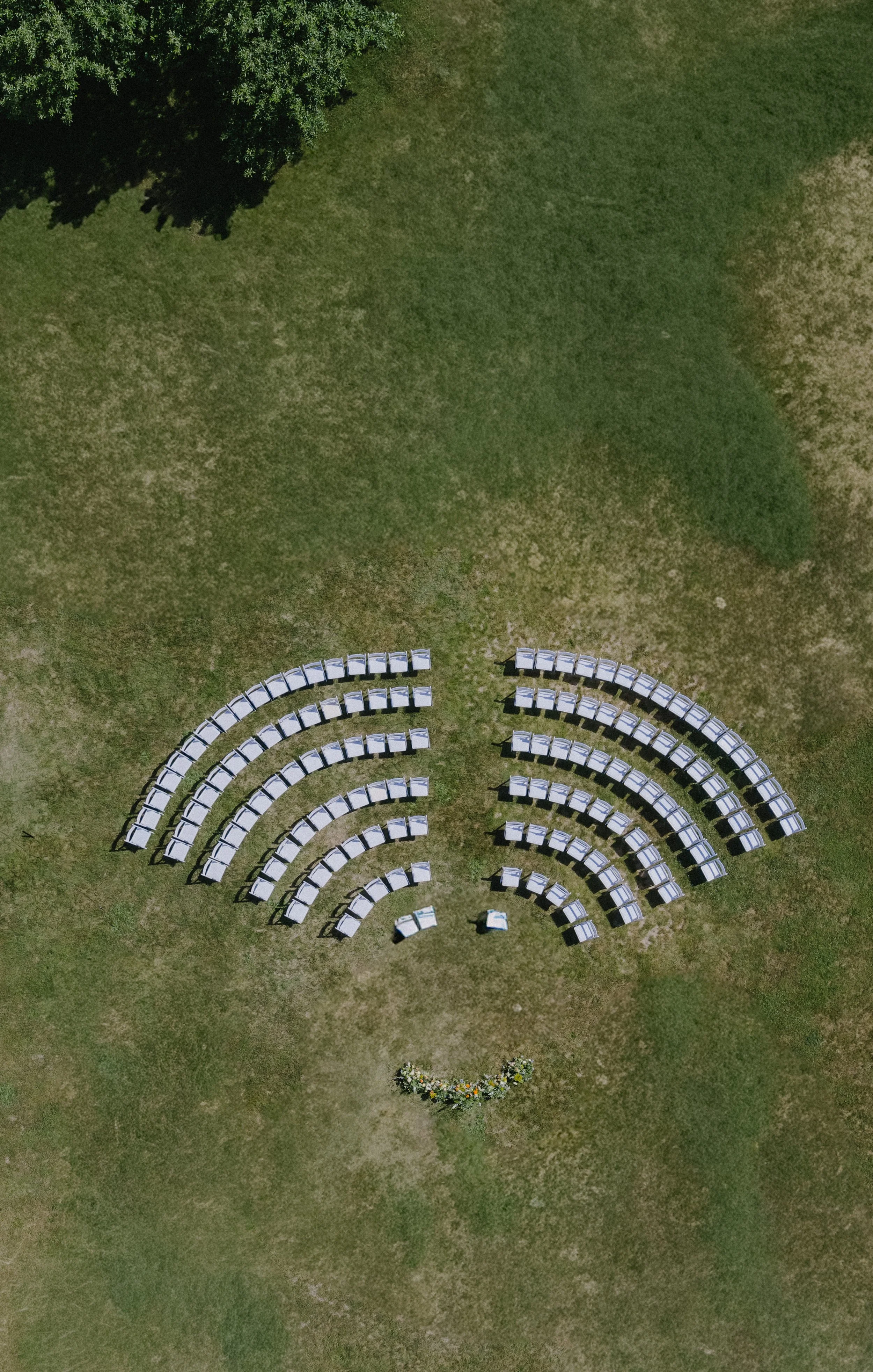 1000096698.jpg