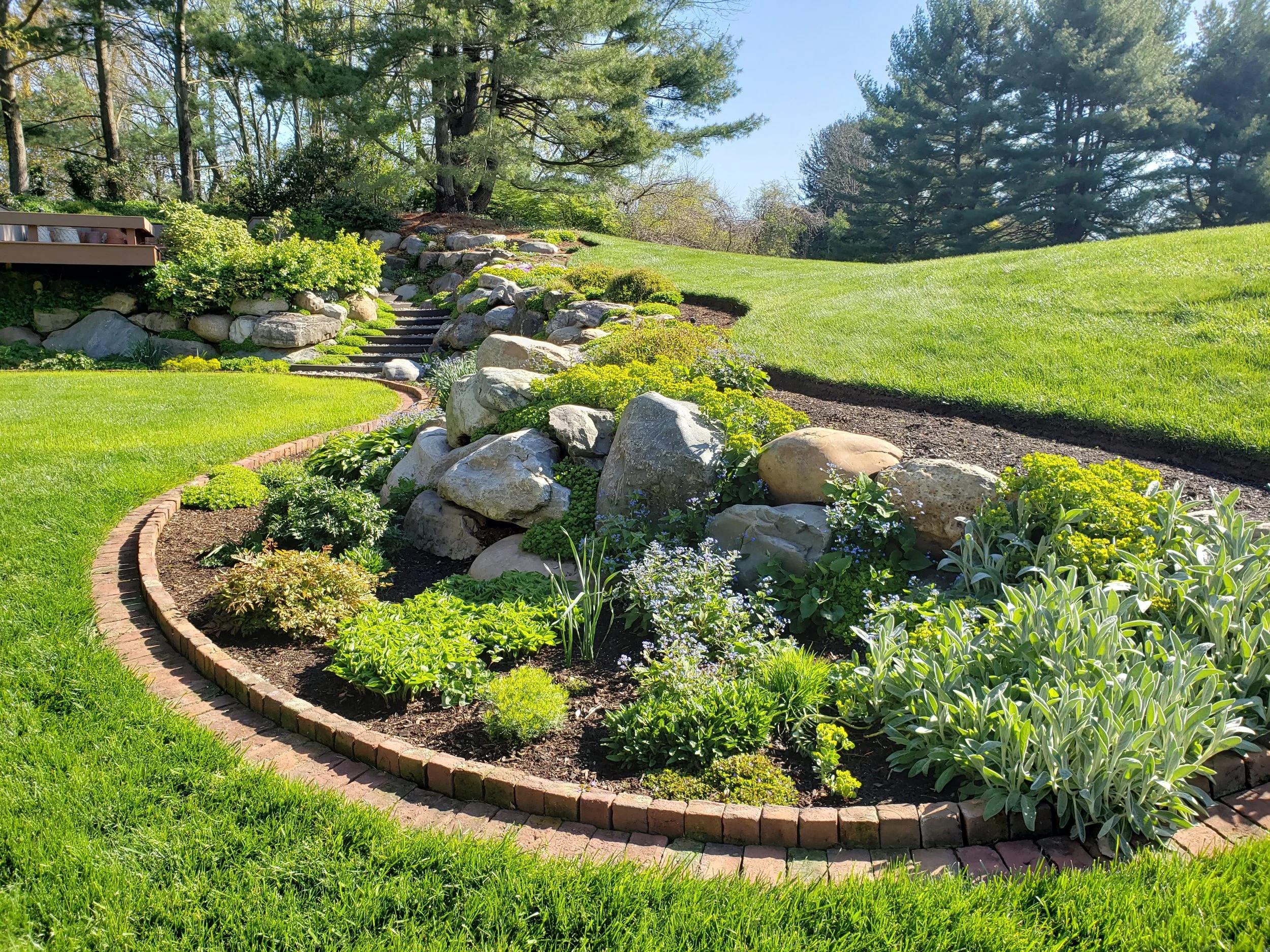 A well-maintained backyard garden with a curved brick border, lush green grass, large rocks, and various green plants and shrubs, with trees in the background under a clear blue sky.