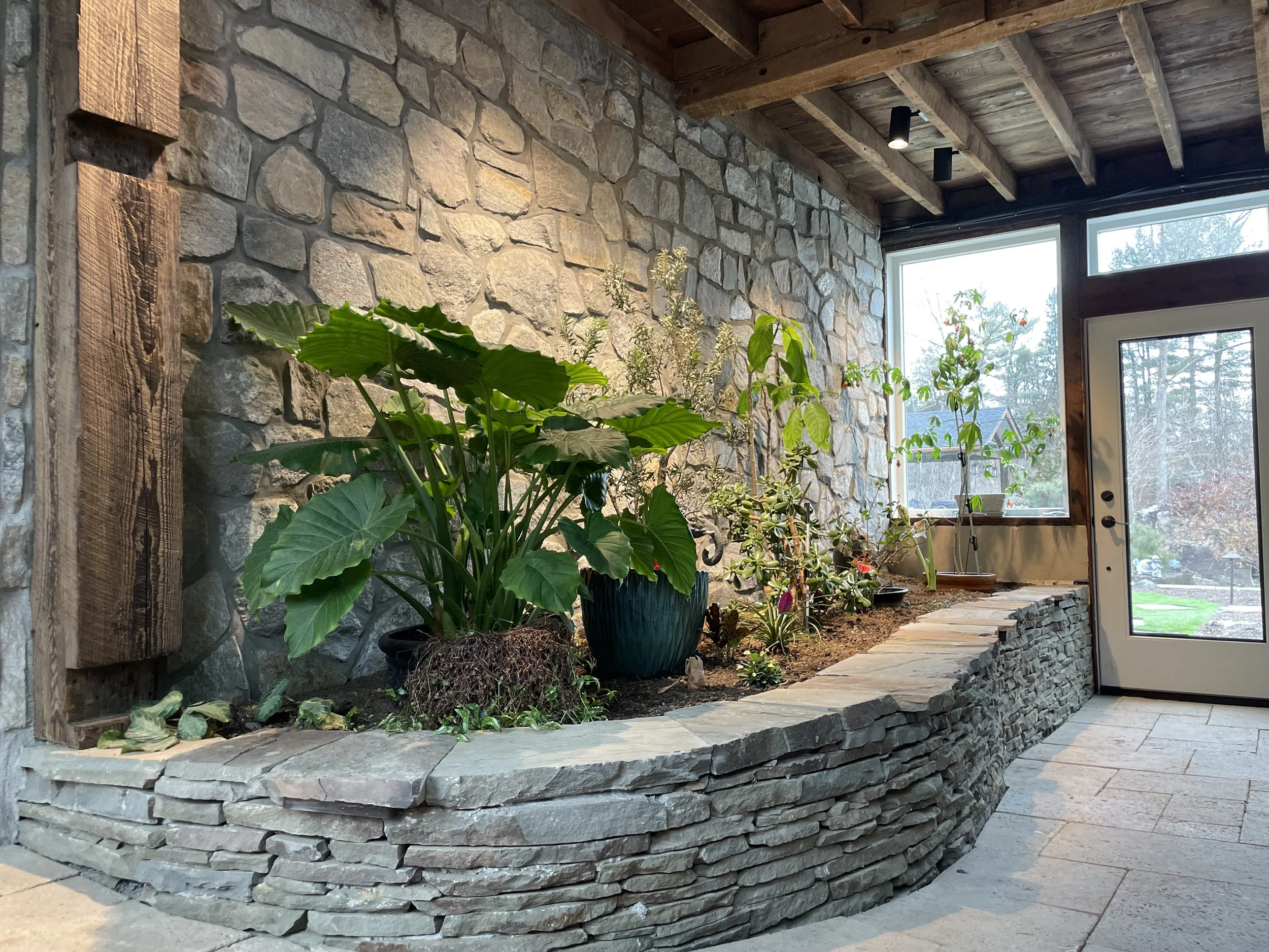 Indoor garden with large leafy plants planted in a stone planter along a wall of stone and wood with large windows and a glass door leading outside.