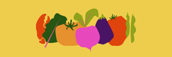 Seeds of Success: Growing Vegetables from Seed