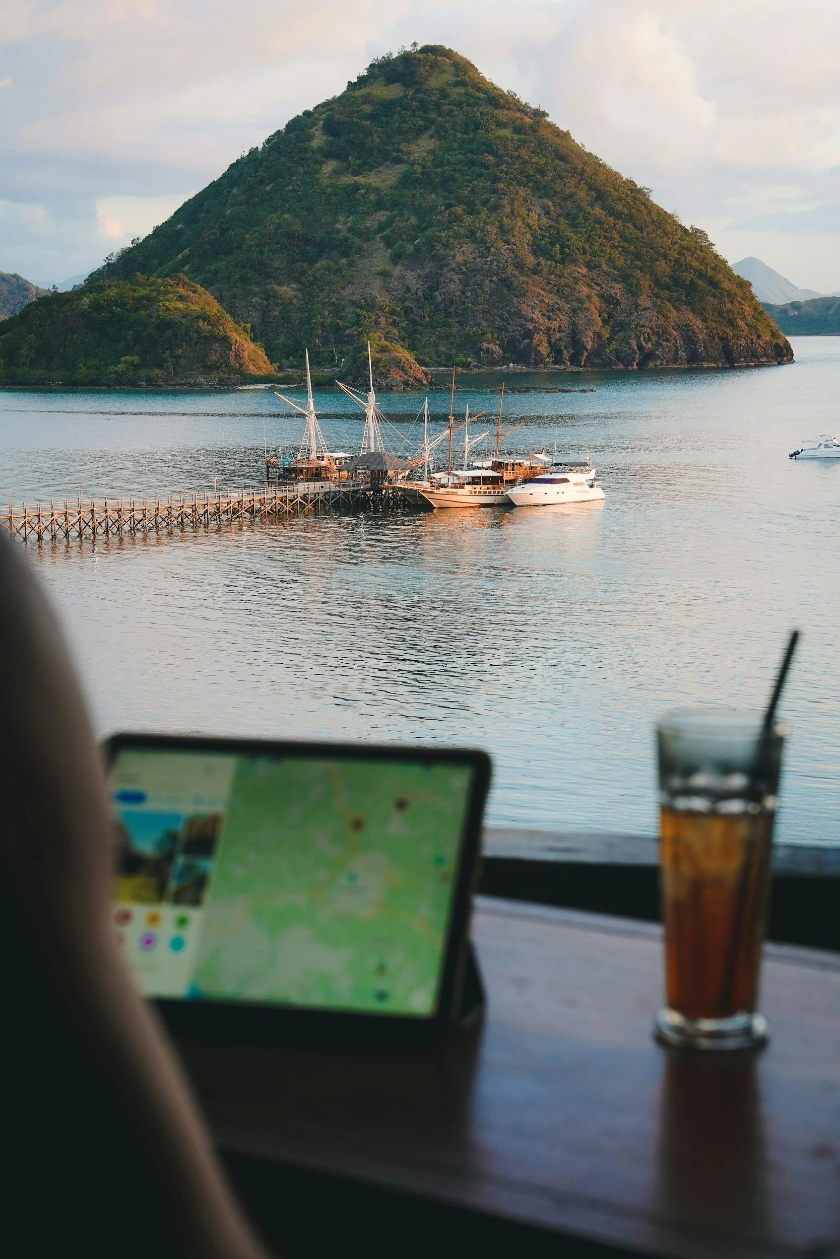 Travel Advisor working remotley