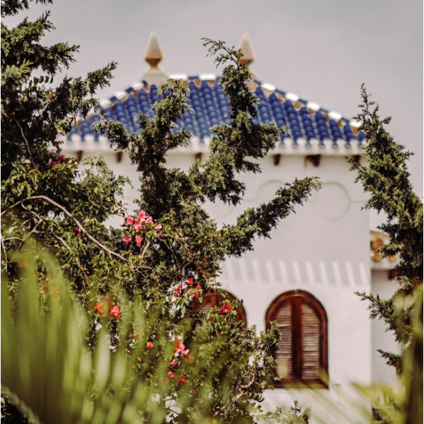 Screenshot 2024-03-15 at 9.36.42 AM.png