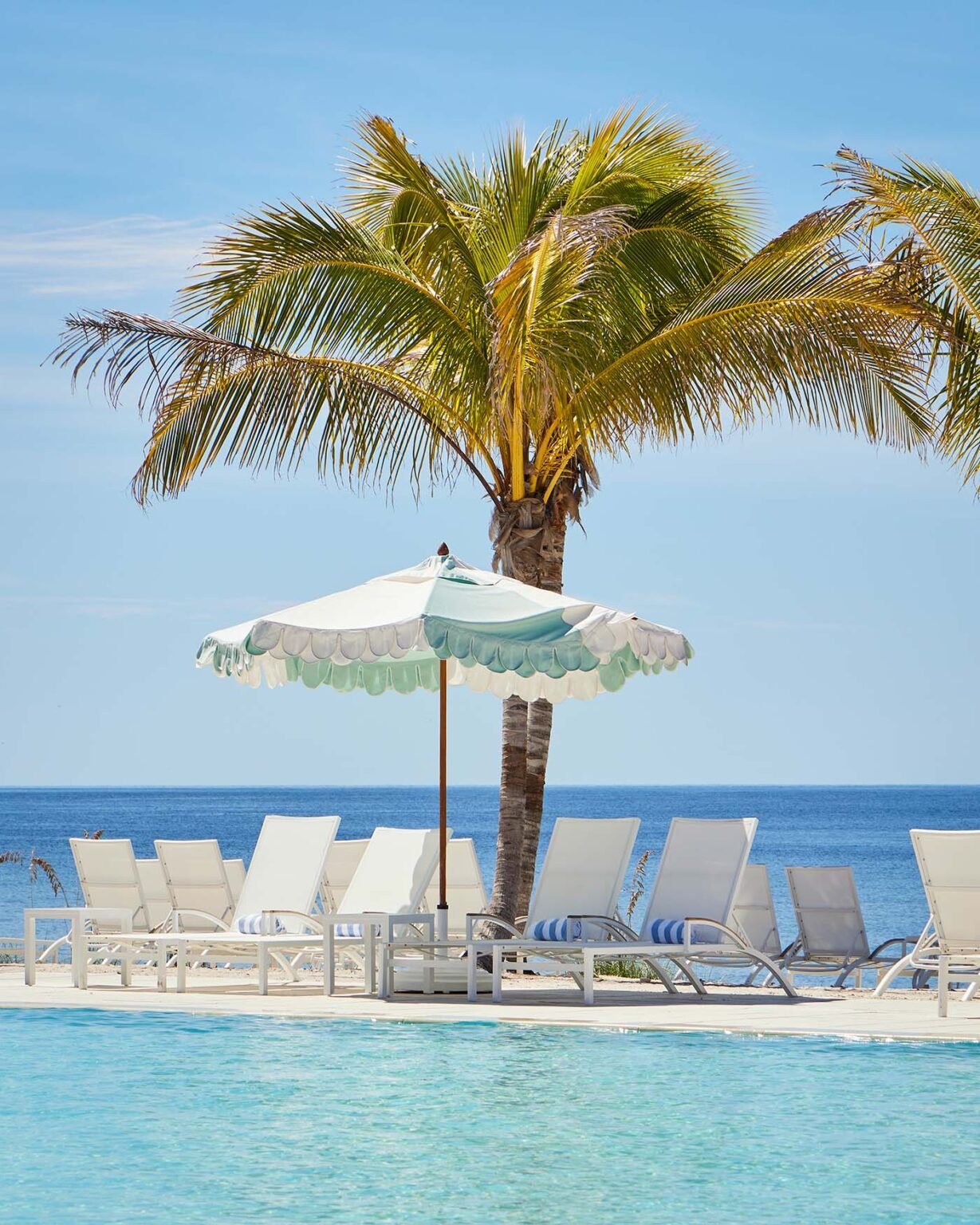 Gasparilla-Inn-beach-club-pool-with-palm-tree-1229x1536.jpg